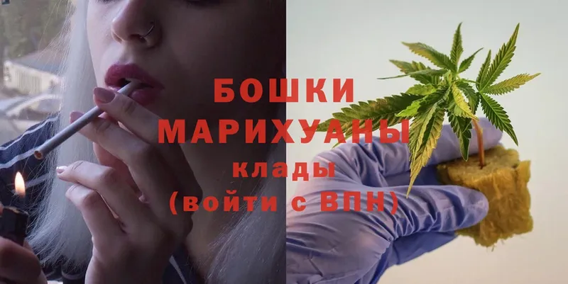 Бошки марихуана Amnesia  Волчанск 